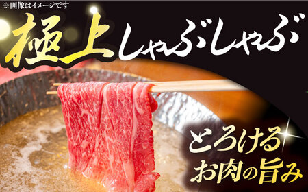 【2回定期便】 長崎和牛 霜降り 約1kg しゃぶしゃぶ用  [DBK017] しゃぶしゃぶ用牛肉