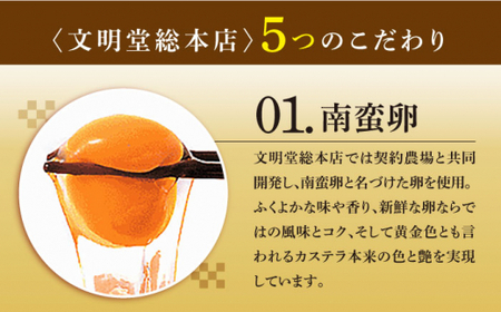 【12回定期便】 おぢか焼印 特撰 カステラ 580g 1箱 [DBF008] カステラ