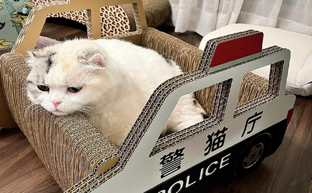 猫の爪とぎ　パトカー 猫 ねこ ネコ キャット cat 爪とぎ ダンボール 段ボール なりきり かわいい 写真映え 丈夫 日本製 国産 おもちゃ ペット インテリア 愛猫 動物 猫用品 猫用玩具 グッズ 愛猫へプレゼント ペット用品 愛知県 常滑市