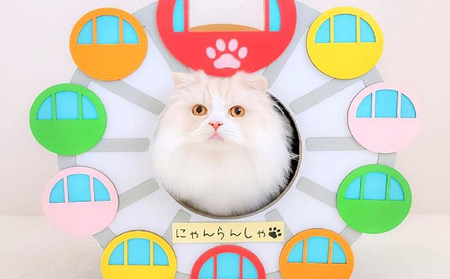 猫の爪とぎ　にゃん覧車 猫 ねこ ネコ キャット cat 爪とぎ ダンボール 段ボール 観覧車 かわいい 写真映え 丈夫 日本製 国産 おもちゃ ペット インテリア 愛猫 動物 猫用品 猫用玩具 グッズ 愛猫へプレゼント ペット用品 愛知県 常滑市