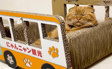 猫の爪とぎ　観光バス 猫 ねこ ネコ キャット cat 爪とぎ ダンボール 段ボール 乗り物 バス 運転手 なりきり かわいい 日本製 国産 おもちゃ ペット インテリア 愛猫 動物 猫用品 猫用玩具 グッズ 愛猫へプレゼント ペット用品 愛知県 常滑市