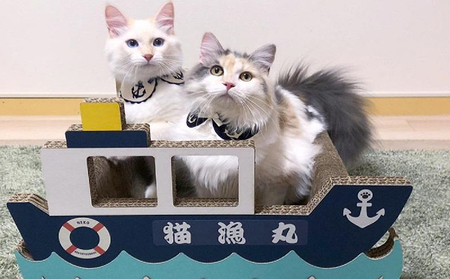 猫の爪とぎ　漁船 猫 ねこ ネコ キャット cat 爪とぎ ダンボール 段ボール 写真映え かわいい 船 日本製 国産 おもちゃ ペット インテリア 愛猫 動物 猫用品 猫用玩具 グッズ 愛猫へプレゼント ペット用品 愛知県 常滑市