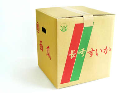 CH053【令和8年度出荷分】秋季出荷！大玉スイカ～羅皇（ラオウ）～（Lサイズ6kg以上×1玉入）[長崎県 島原市]