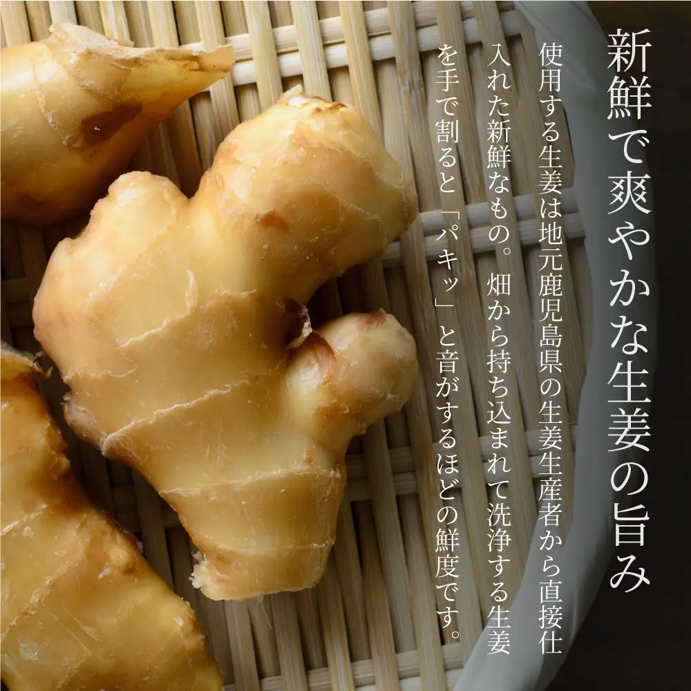【健康習慣】皮からまるごと 濃縮生姜 粉末 15g×10袋 生姜パウダー ジンジャー パウダー 生姜 粉末 料理 味噌汁 生姜焼き 粉末 しょうが 鹿児島 エスランドル 南さつま市