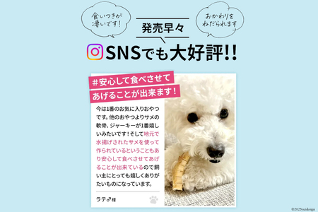 UMINO PET サメ肉と軟骨のパウダー 計80g (40g×2) [石渡商店 宮城県 気仙沼市 20563976]