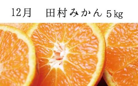 ☆レビューキャンペーン開催中☆ かき 柿 みかん 柑橘 フルーツ 果物 定期便 /【全3回定期便】秋の味覚 果物定期便　柿・みかん　旬のフルーツを毎月お届け♪【tkb130】