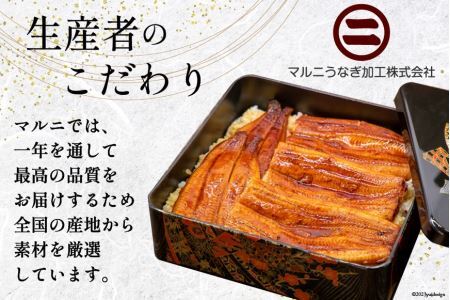 うなぎ 国産 蒲焼き 2尾 12回定期便 [22424423]