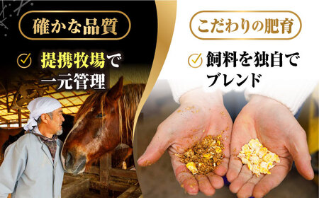 12回定期便国産馬刺し大満足セット計約410g 5種人気馬刺し醤油付きZBK021
