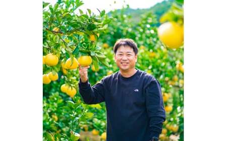 【先行予約】園主こだわりの土佐文旦 7キロ 大小混合（４L〜Mサイズ） 2027年1月下旬より順次発送 ぶんたん ブンタン 柑橘 みかん フルーツ 果物 家庭用 お取り寄せ 土佐 高知【やの一果彩】 [BQAC014]