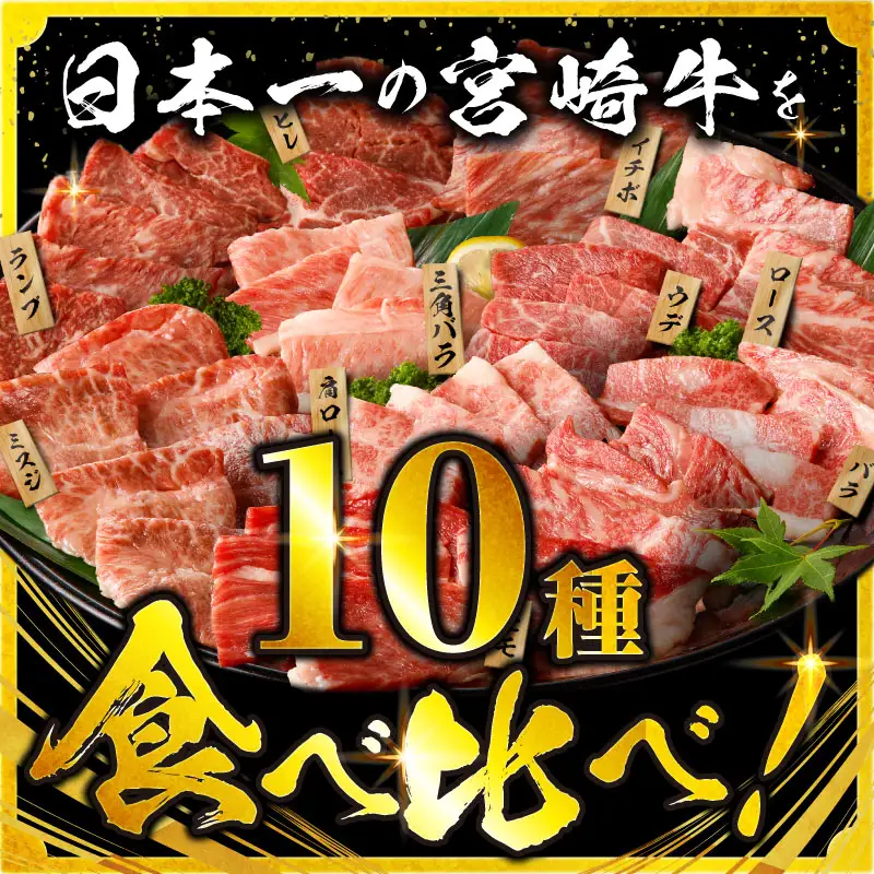 牛肉 宮崎牛 焼肉 10種セット 900g 牛肉 期間限定[畜産農家応援！]