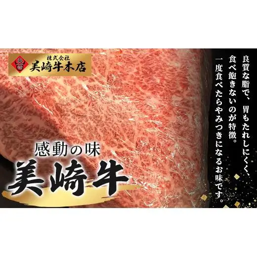 美崎牛ハンバーグ 100g×10個　 O-6
