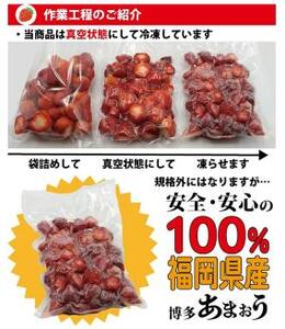 訳あり！ 博多和牛 しゃぶすき ＆ あまおう セット 1.3kg しゃぶしゃぶ すき焼き 牛肉 和牛 いちご