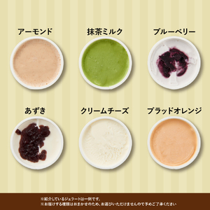 【合計 22個】ジェラートおまかせ 22種セット EB8-0289