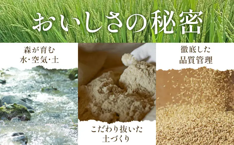 令和7年産 ゆめぴりか 10kg 5kg×2袋 田中農園 北海道