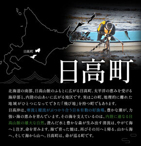 丸金特製 鮭とば 2種 計2袋 鮭 サケ シャケ 北海道【配送不可地域あり】（離島）