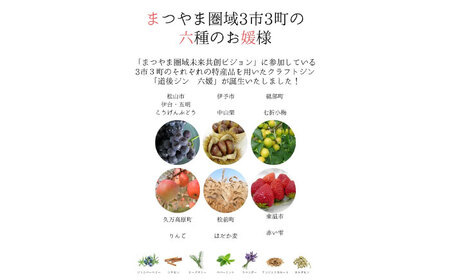 クラフトジン 道後ジン 六媛 500ml×1本・トニック 200ml×2本 酒 BJAI002