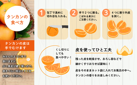 《 先行予約 》種子島産 タンカン (ご家庭用) 約5kg (24玉～36玉)【2027年2月中旬～3月中旬頃順次発送】【訳あり】【南種子町果樹部会】