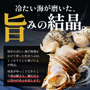 先行受付 北海道 厚岸産 殻灯台 つぶ 2kg（1kg×2パック） 魚介類 海の幸 海産物 海鮮 貝 つぶ貝 希少 下処理不要 刺身 塩茹で お酒のあて つまみ 国産 北海道産 