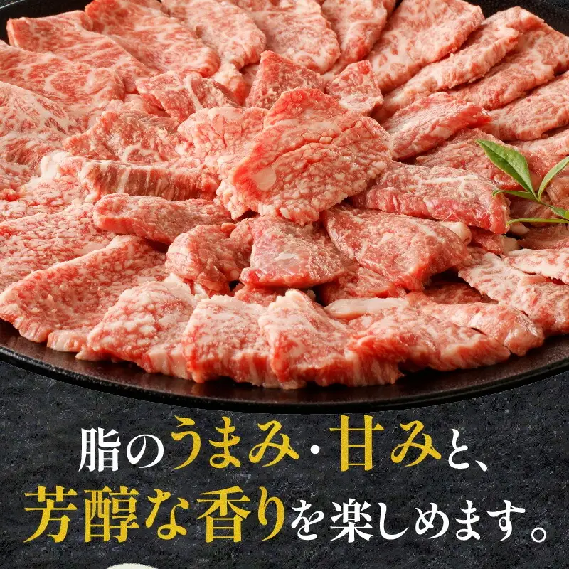 やみつきシリーズ 宮崎牛カルビ定期便 肉 牛 牛肉 カルビ