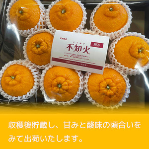 【2027年2月下旬頃から順次発送】不知火 しらぬい 約3kg 【ご贈答用】でこぽんと同品種 柑橘類 先行予約 フルーツ 柑橘類 先行予約 果物 フルーツ みかん シラヌイ 人気 おすすめ 愛媛 松山 田中農園【TNN0022】