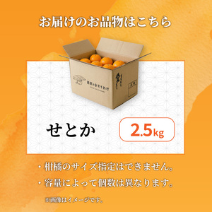 【2027年2月下旬から順次発送】せとか B品 家庭用 2.5kg | セトカ みかん 蜜柑 柑橘 甘い 高級 果物 フルーツ おすすめ 人気 愛媛三大柑橘（ 紅まどんな せとか 甘平 ） 愛媛 松山【RNK0042】