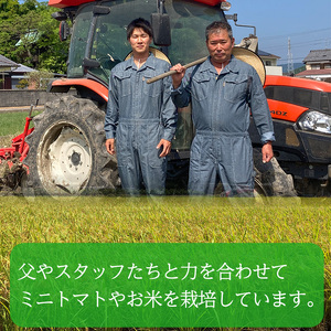 令和7年産！愛媛県産ヒノヒカリ 10kg ｜産地直送 国産 白米 ブランド米数量限定 ご当地 愛媛県 松山市【HDK0024】
