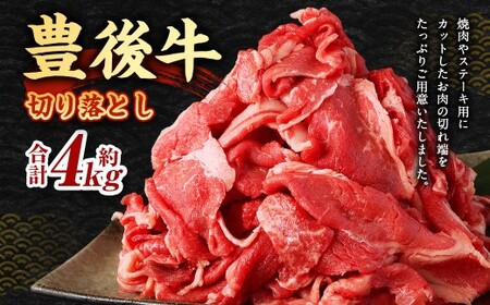 豊後牛 切り落とし 合計約4kg (約400g×10パック) 牛肉 国産 大分県産