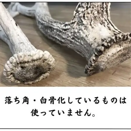 鹿の角 リング 10個入り 北海道産 アクセサリー クラフト材_雑貨   _【1421944】
