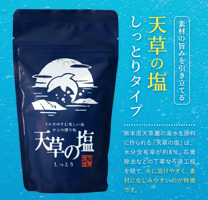 天草の塩・極上職人のうまかだしセット 天草の塩(しっとりタイプ) 200g 極上職人のうまかだし 8g×30包 九電産業株式会社 《30日以内に出荷予定(土日祝除く)》熊本県 苓北町 塩 だし salt だしパック 和食 調味料 天草の塩 天草 苓北 熊本 送料無料