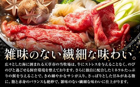 黒毛和牛 牛肉 霜降り ロース スライス 1kg 500g×2 田中畜産