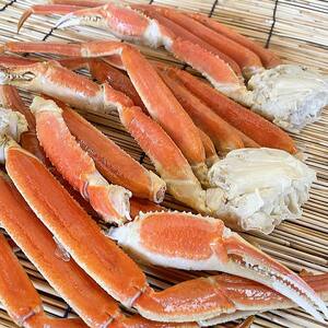 訳あり ズワイガニ脚(ボイル)1.0kg前後 かに 蟹 カニ 海鮮 魚介 釧路 北海道 F4F-3770