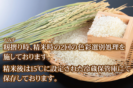 【味くらべ】令和7年度産 福井県越前市産コシヒカリ&にこまる 福井県特別栽培米 各5kg
