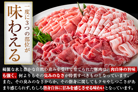 うまかポーク 豚肉しゃぶしゃぶ 約1.5kg 【トレー包装】《30日以内に出荷予定(土日祝除く)》しゃぶしゃぶ ロース