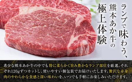 あか牛ミニステーキ ランプ部位使用 約480g 合同会社たべたせいか《30日以内に出荷予定(土日祝除く)》熊本県 菊池市 肉 牛肉 お肉 和牛 あか牛 ステーキ ミニステーキ 個包装 小分け 熊本県産 冷凍 送料無料