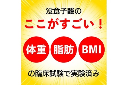 048-87　国産プーアール茶　SARYU-SOSO（2g×30ティーバッグ）×2袋セット　〈機能性表示食品〉