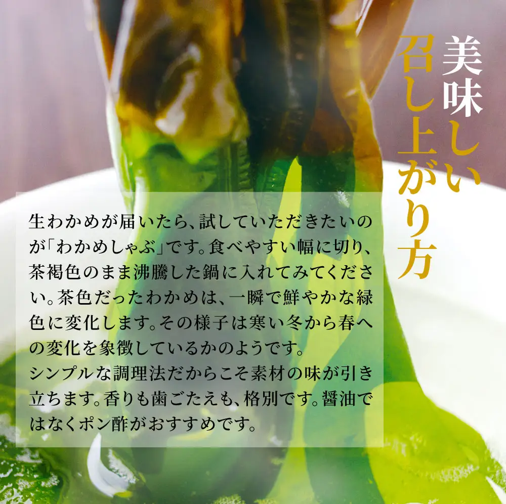 fn-39-013 いわて三陸産生わかめ【2月上旬から3月中旬頃お届け便】 ヤマキイチ商店