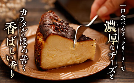 【6回定期便】HACO 甘麹のクリームチーズケーキ 880g【metro】[ZEH007]