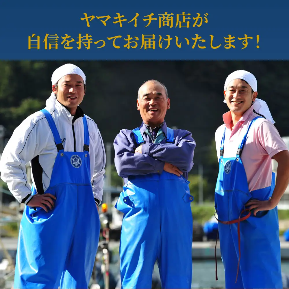 fn-39-014 三陸産生わかめ・めかぶセット【2月上旬から3月中旬頃お届け便】 ヤマキイチ商店