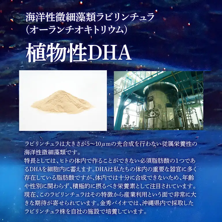 【金秀バイオ】藻の極み 6個 セット 180日分(約6ヶ月分) サプリ サプリメント 植物性 DHA EPA フコイダン オメガ3 脂肪酸 カプセル 沖縄 もずく モズク オキナワモズク 海藻 原料 健康食品 中性脂肪 コレステロー 対策 予防 食品 沖縄県 糸満市