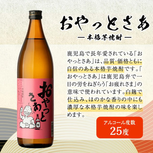 鹿児島 本格 焼酎 9種 飲み比べ 小瓶 10本 セット(各720ml・900ml)【大隅家】B96-v03