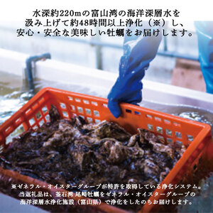 fn-42-002 ＜6月～7月頃にかけて順次発送予定＞【海洋深層水仕込み】釜石湾・尾崎牡蠣　20個セット 日本かきセンター