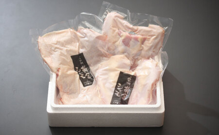 【１２回定期便 】朝びき！信州黄金シャモ1羽まるごとセット（冷蔵）　地鶏