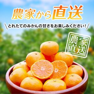 【みかん】宮川早生 完熟早生みかん 5kg 【nak006-1】