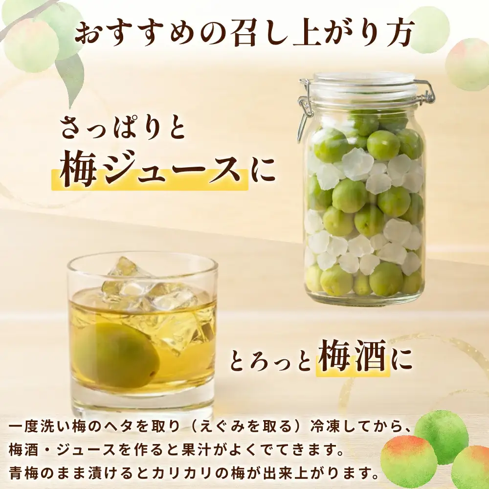 【期間限定・2026/6/5まで】 完熟梅 1kg ※2026年6月中旬から順次発送予定※ / 梅 完熟 うめ ウメ 南高梅 紀州南高梅 梅干 梅ジュース 梅酒 和歌山県 【nak020-1】