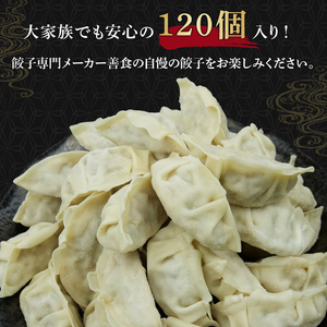 冷凍餃子 120個 餃子 国産豚肉 ぎょうざ ギョーザ