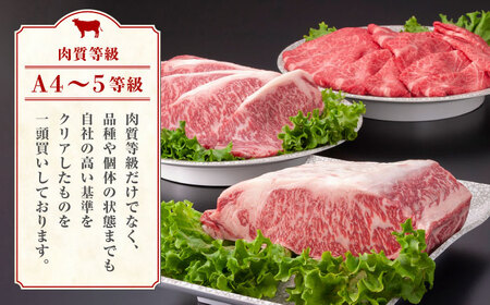 【6回定期便】熊本県産 黒毛和牛 ロース 食べ比べ セット（ステーキ ロース スライス） 約800g 【有限会社 九州食肉産業】 牛肉 A4 A5 国産 黒毛和牛 九州産 熊本県産 ロース 和牛   [ZDQ047]