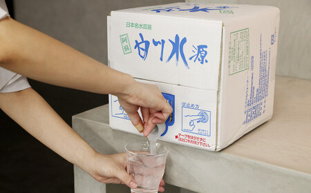 【12か月連続定期便】日本名水百選ミネラルウォーター「南阿蘇・白川水源」10L×2箱×12か月