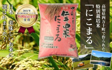 【令和7年産米】四万十育ちの美味しい「仁井田米」にこまる6kg（3kg×2袋） Bmu-C25 にこまる 精米 特別栽培米 受賞 おいしい おすすめ 人気 低農薬／Bmu-C25