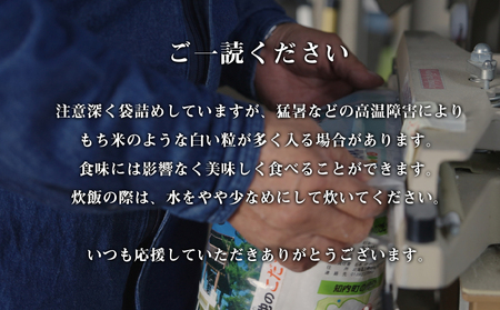 【令和7年産】ゆめぴりか 玄米 5kg 《杉本農園》