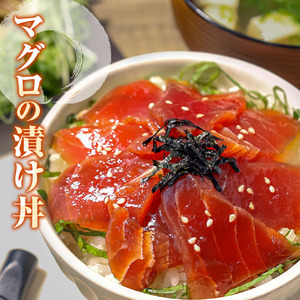 訳あり海鮮漬け丼（タイ6P・マグロ4P）セット 漬け丼 漬け 鯛 鮪 マグロ 赤身 食べ比べ 海鮮 魚 冷凍 食品 保存食 小分け 高知 土佐 海鮮丼 漬け丼 ぶっかけ【企業組合　宇佐もん工房】 [BQAB029]
